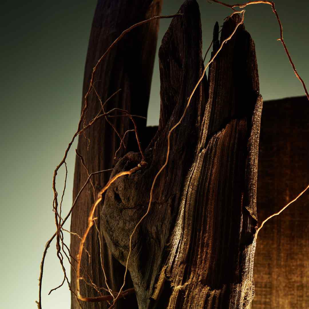 Wood Essence Parfum - BVLGARI - BVLGARI MAN - Imagem 5