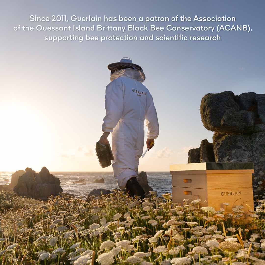 Eye Cream - GUERLAIN - ABEILLE ROYALE - Imagem 2