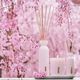 Mini Fragrance Sticks - Rituals - Sakura - Imagem 3