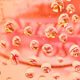 Cheirosa 91 Mist - Sol de Janeiro - Rosa Charmosa - Imagem 10