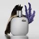 GREY - Eau de Parfum - LACOSTE - Lacoste L.12.12 Silver - Imagem 2