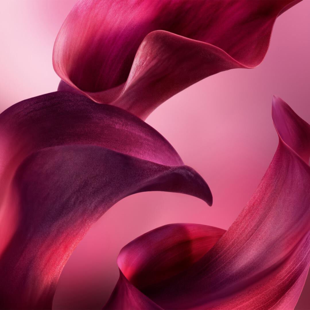 L'Elixir Very Cherry - Eau de Parfum - Lanc&ocirc;me - La Vie est Belle - Imagem 4