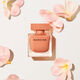 Ambrée Eau de Parfum - NARCISO RODRIGUEZ - NARCISO - Imagem 5