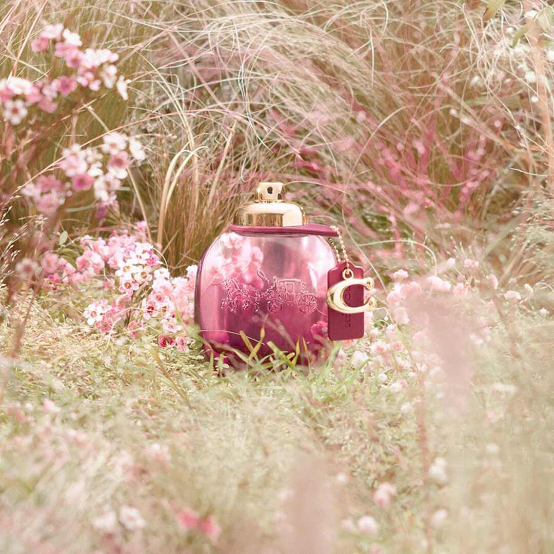 Eau de Parfum - COACH - Coach Wild Rose - Imagem 5