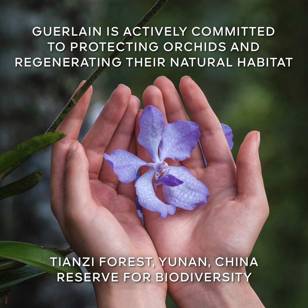 O CREME RICO - GUERLAIN - ORCHID&Eacute;E IMP&Eacute;RIALE - Imagem 6