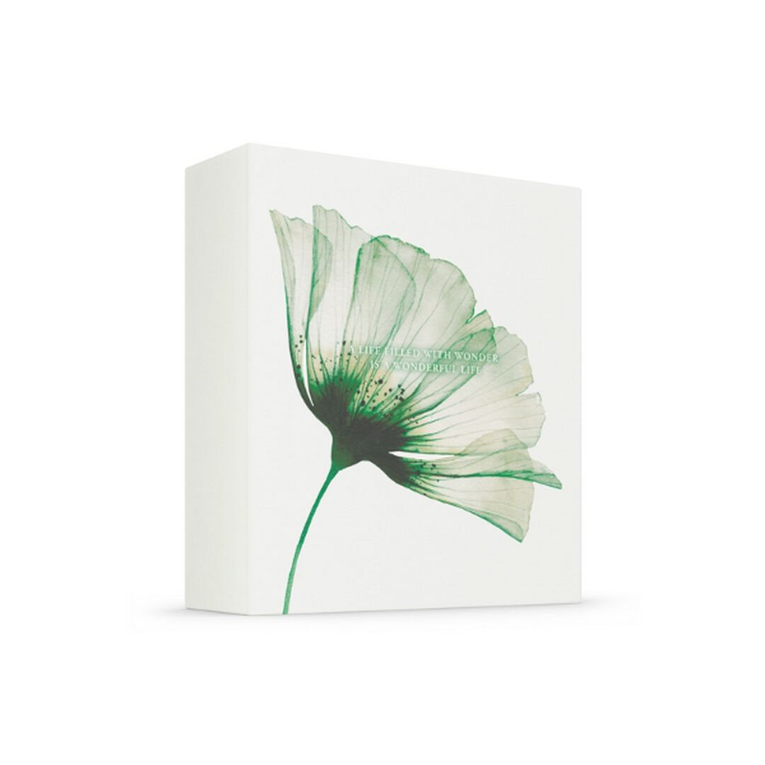 The Ritual of Jing - Medium Gift Set 2023 - Rituals - Jing - Imagem 3