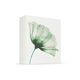 The Ritual of Jing - Medium Gift Set 2023 - Rituals - Jing - Imagem 3
