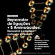 Shampoo Absolut Repair Molecular - L'OR&Eacute;AL PROFESSIONNEL - SERIE EXPERT - Imagem 3