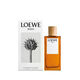 Eau de Toilette - LOEWE - LOEWE SOLO - Imagem 6