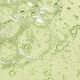 Squalane + Amino Aloe Gentle Cleanser - Biossance -  - Imagem 3