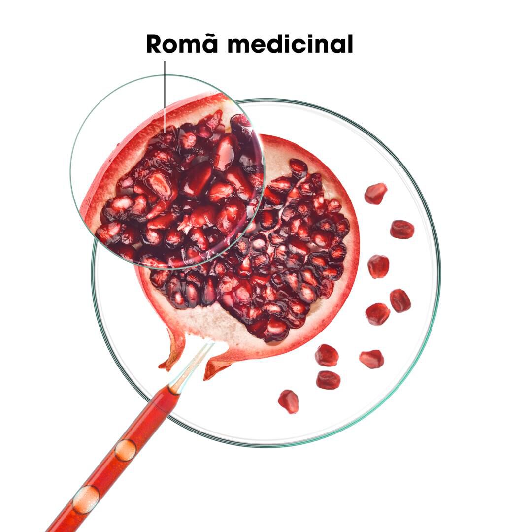 Champô Romã - KLORANE -  - Imagem 7