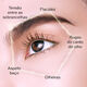LEGENDARY ENMEI EYE TREATMENT - SHISEIDO - FUTURE SOLUTION - Imagem 5