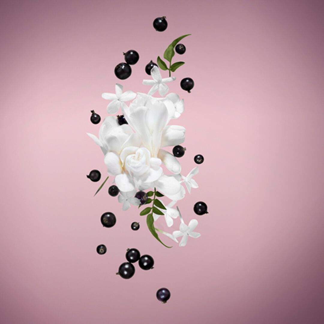 Eau de Parfum - VIKTOR & ROLF - FLOWERBOMB MIDNIGHT - Imagem 7