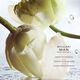 Rain Essence Eau de Parfum - BVLGARI - BVLGARI MAN - Imagem 3