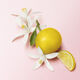 Le Parfum - Giorgio Armani - My Way - Imagem 18