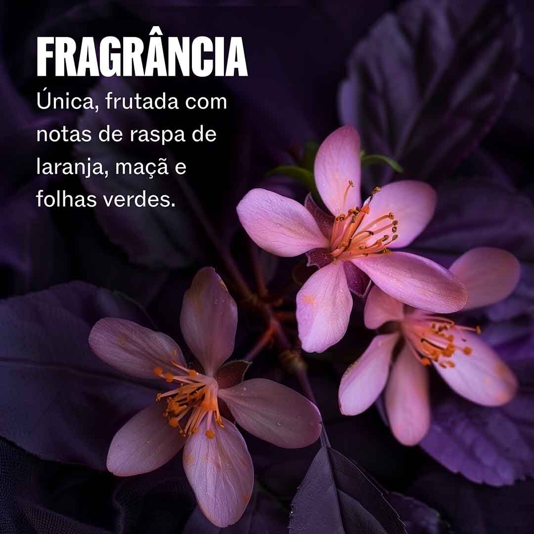 Spray - WELLA HAIR CARE - Ultimate Color - Imagem 2