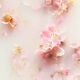 The Ritual of Sakura - Medium Gift Set 2024 - Rituals - Karma - Imagem 3