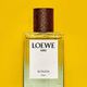 Sutileza Elixir - LOEWE - LOEWE AIRE - Imagem 6