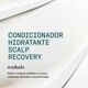 Nioxin Scalp Recovery - Condicionador - Nioxin - Scalp&nbsp;Recovery - Imagem 9