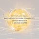 Skin Caviar Eye Lift - LA PRAIRIE - LP SKIN CAVIAR COLLECTION - Imagem 4