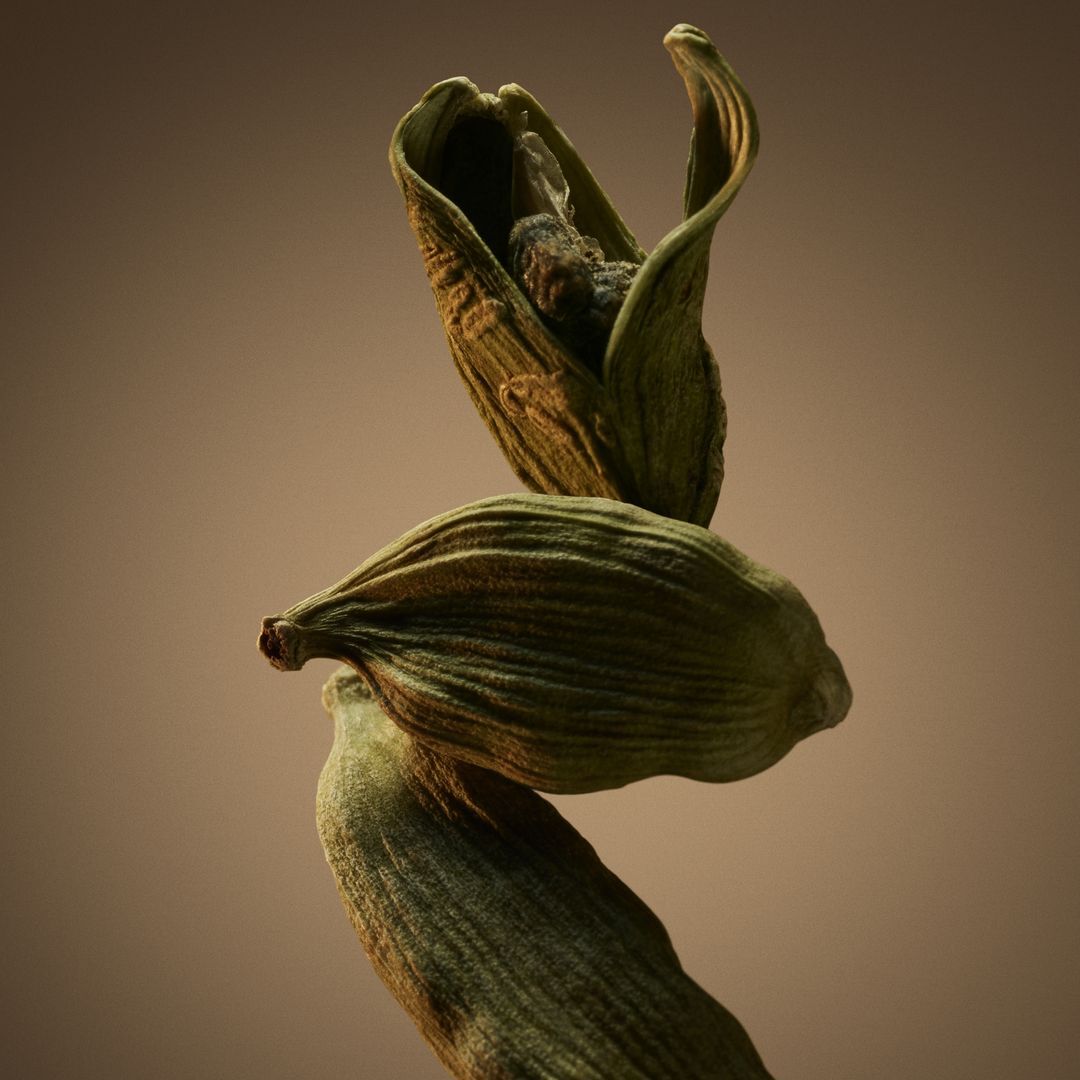 Eau de Parfum - HUGO BOSS - Boss Bottled - Imagem 5