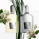 PARFUM - TOM FORD - GREY VETIVER - Imagem 4