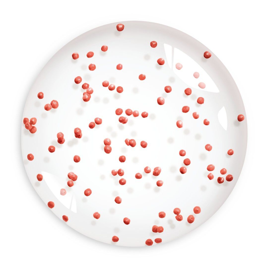 Healthy Mix Serum Primer - BOURJOIS -  - Imagem 3