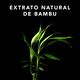 Champô - SEBASTIAN - Volupt - Imagem 3