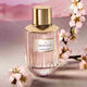 Estée Lauder Dream Dusk Eau de Parfum Spray - Estée Lauder - Luxury Collection - Imagem 2
