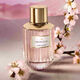 Dream Dusk Eau de Parfum - Estée Lauder - Luxury Collection - Imagem 2