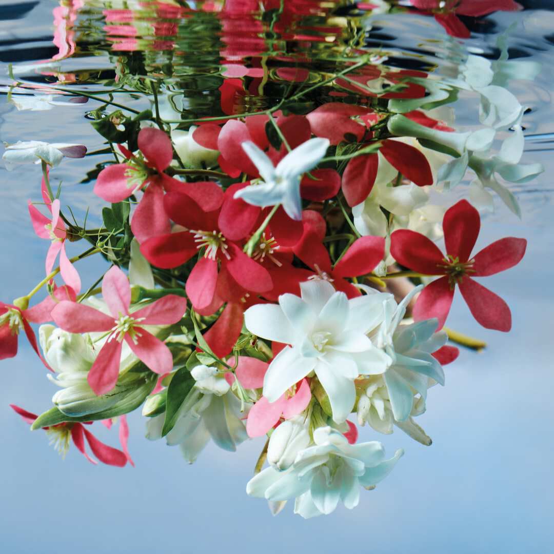 Eau de Parfum - GUCCI - GUCCI BLOOM - Imagem 2