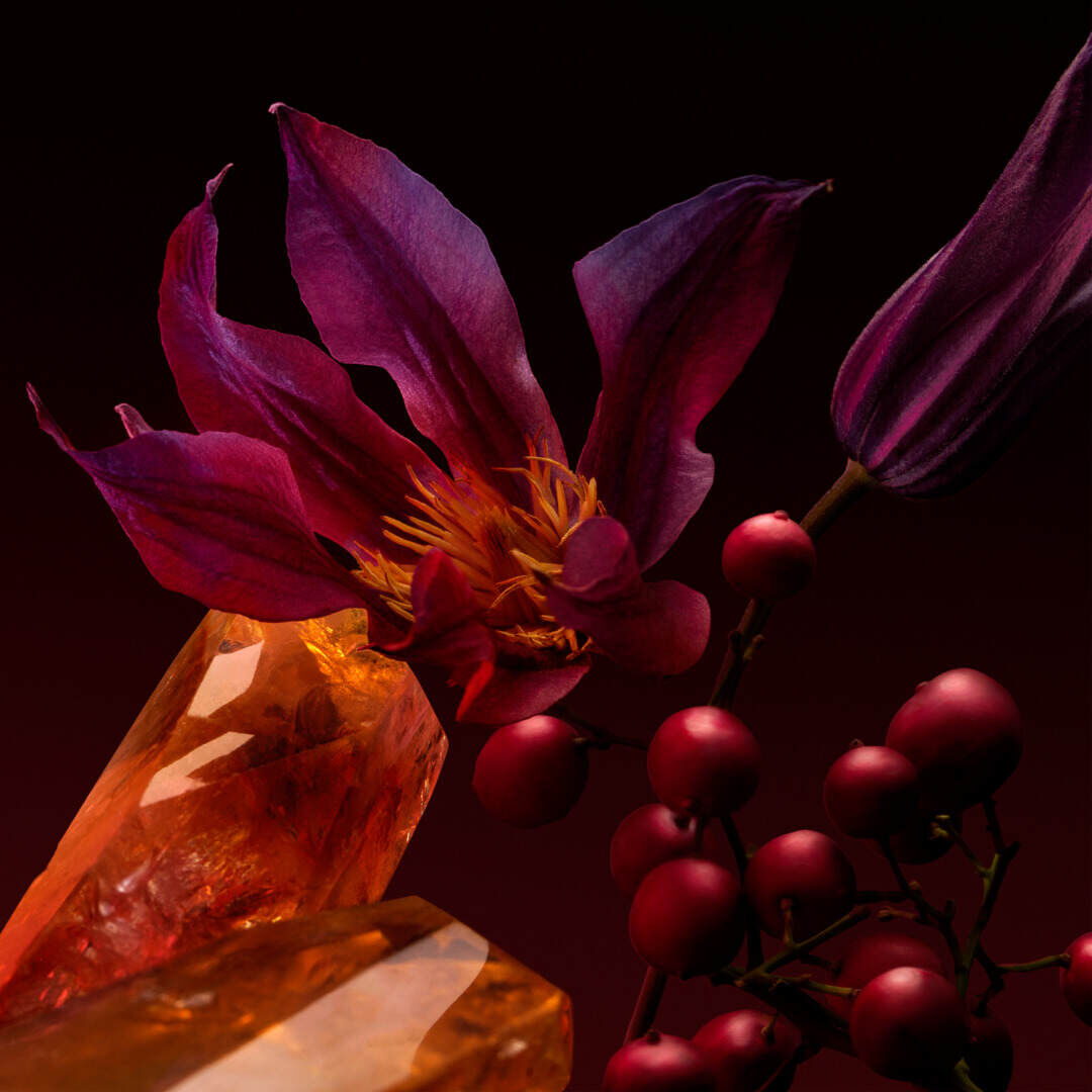 Parfum - HUGO BOSS - The Scent For Her Elixir - Imagem 2