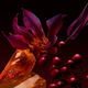 Parfum - HUGO BOSS - The Scent For Her Elixir - Imagem 2