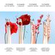 Ikebana Mimosa Eau de Parfum - KENZO - FLOWER BY KENZO - Imagem 4