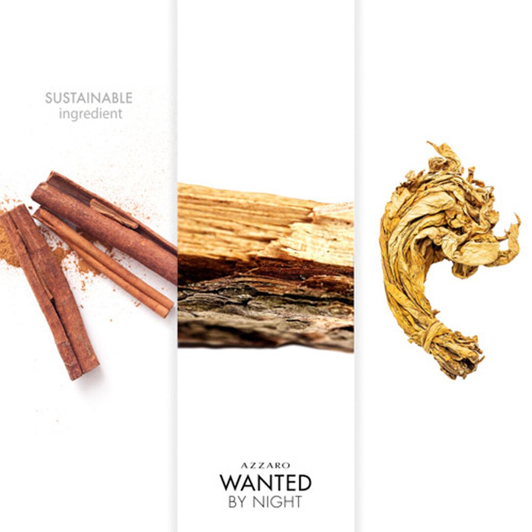 Eau de Parfum - AZZARO - WANTED NIGHT - Imagem 6