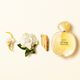 Eau de Parfum - Giorgio Armani -  - Imagem 6