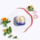 Uplifting and Firming Cream Enriched - SHISEIDO - Vital Perfection - Imagem 4