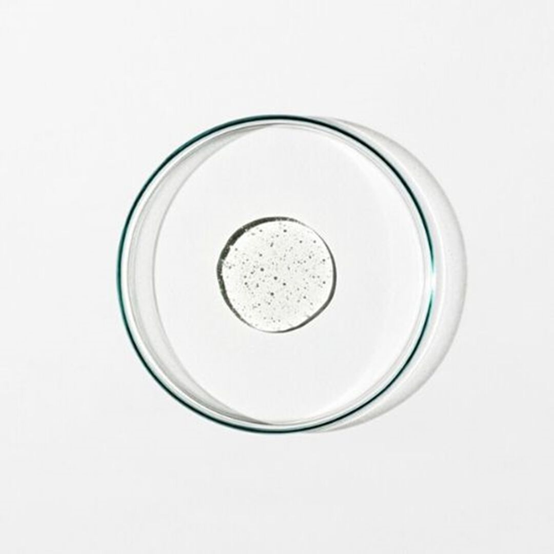 Body Cleanser: Chamomile, Bergamot, Rose - GROWN ALCHEMIST -  - Imagem 3