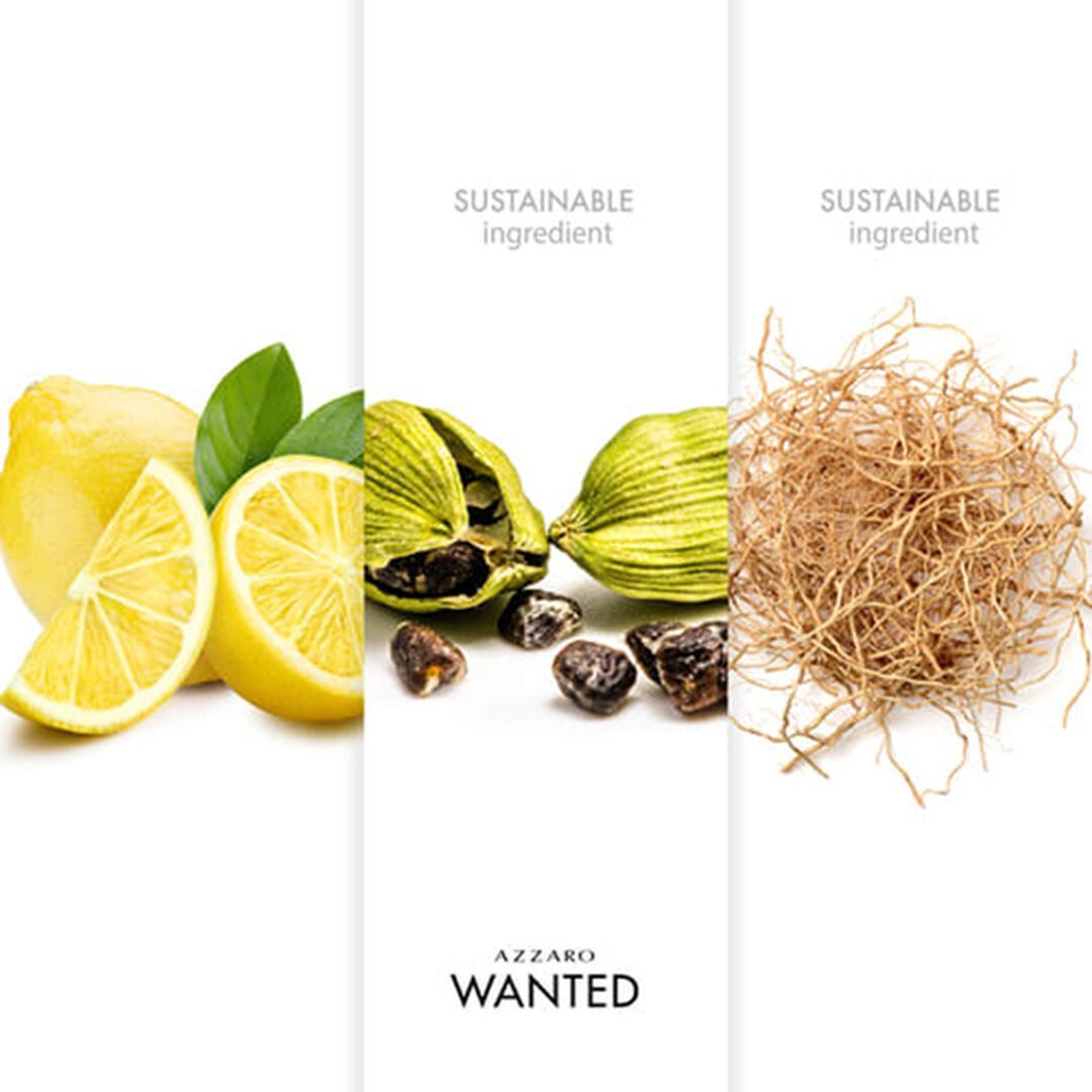 Eau de Toilette - AZZARO - Wanted - Imagem 3