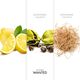 Eau de Toilette - AZZARO - Wanted - Imagem 3