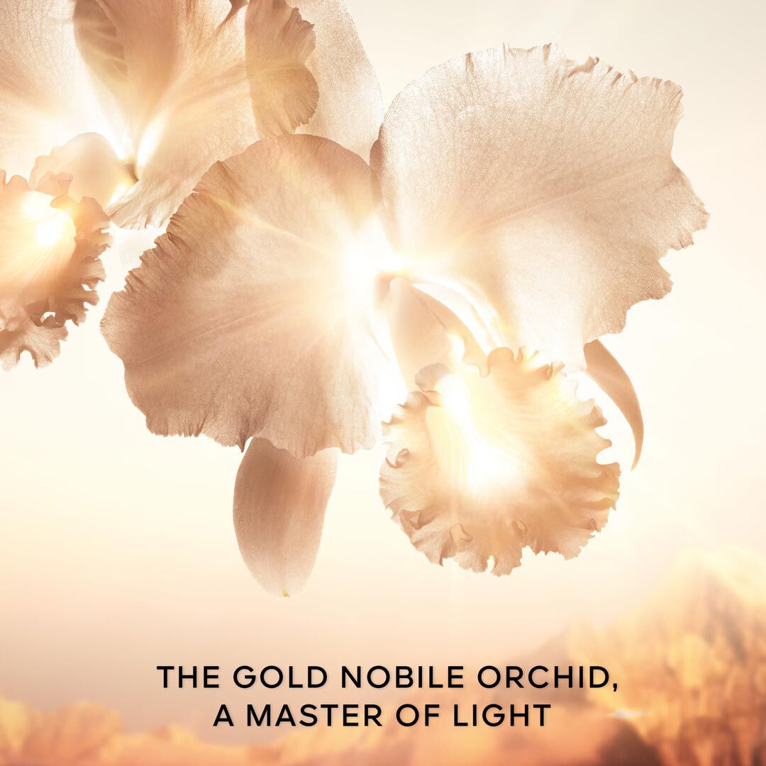 The Goldessence - GUERLAIN - ORCHID&Eacute;E IMP&Eacute;RIALE - Imagem 6