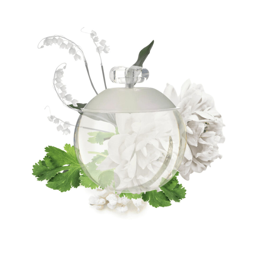 Eau de Toilette - CACHAREL - Noa - Imagem 8