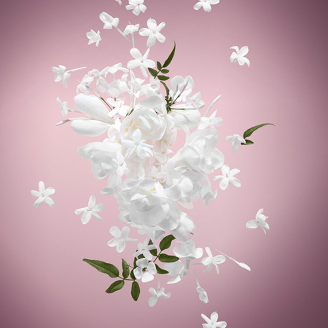 Eau de Parfum - VIKTOR & ROLF - FLOWERBOMB MIDNIGHT - Imagem 9