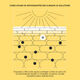 Hydrating Sunscreen Broad Spectrum SPF 50 - CLINIQUE - CLINIQUE TRATAMENTO - Imagem 9