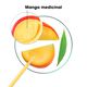 Champô Nutritivo Manga - KLORANE -  - Imagem 8