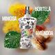 Pride Edition 2026 - Eau de Toilette - Jean Paul Gaultier - Le Male Pride - Imagem 3