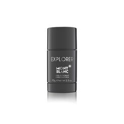 Homme - Deo. Stick, , hi-res