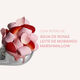 Rose Mallow - CACHAREL - Yummy Flowers - Imagem 3