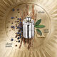 Eau de Parfum - AZZARO - Wanted - Imagem 3