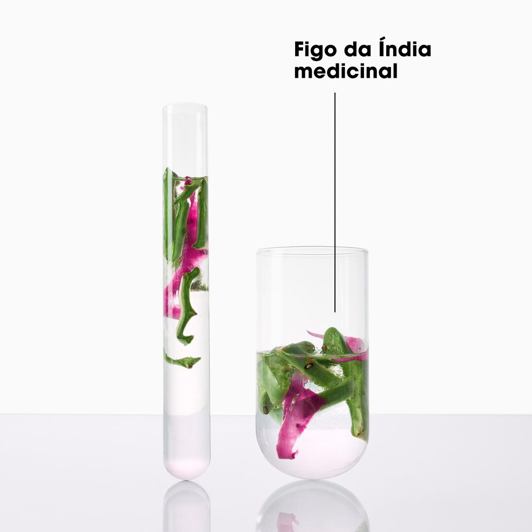 Champ&ocirc; Figo da &Iacute;ndia Hidratante Cabelo Ba&ccedil;o - KLORANE -  - Imagem 3